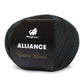 Mayflower Alliance